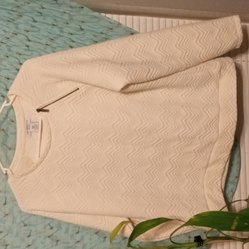 Liz Claiborne Petite Xtra large sweater